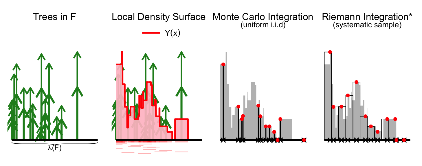 Monte Carlo forest inventory schematic
